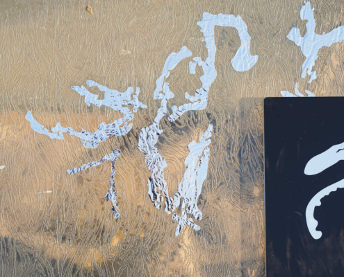 _DSC9416_Easy-Resize.com