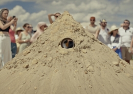 still_day1_1.201.2_Easy-Resize.com